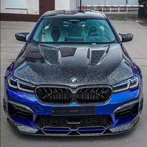 Small Forged Carbon Silver TPU PPF