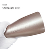 Champagne Gold PPF