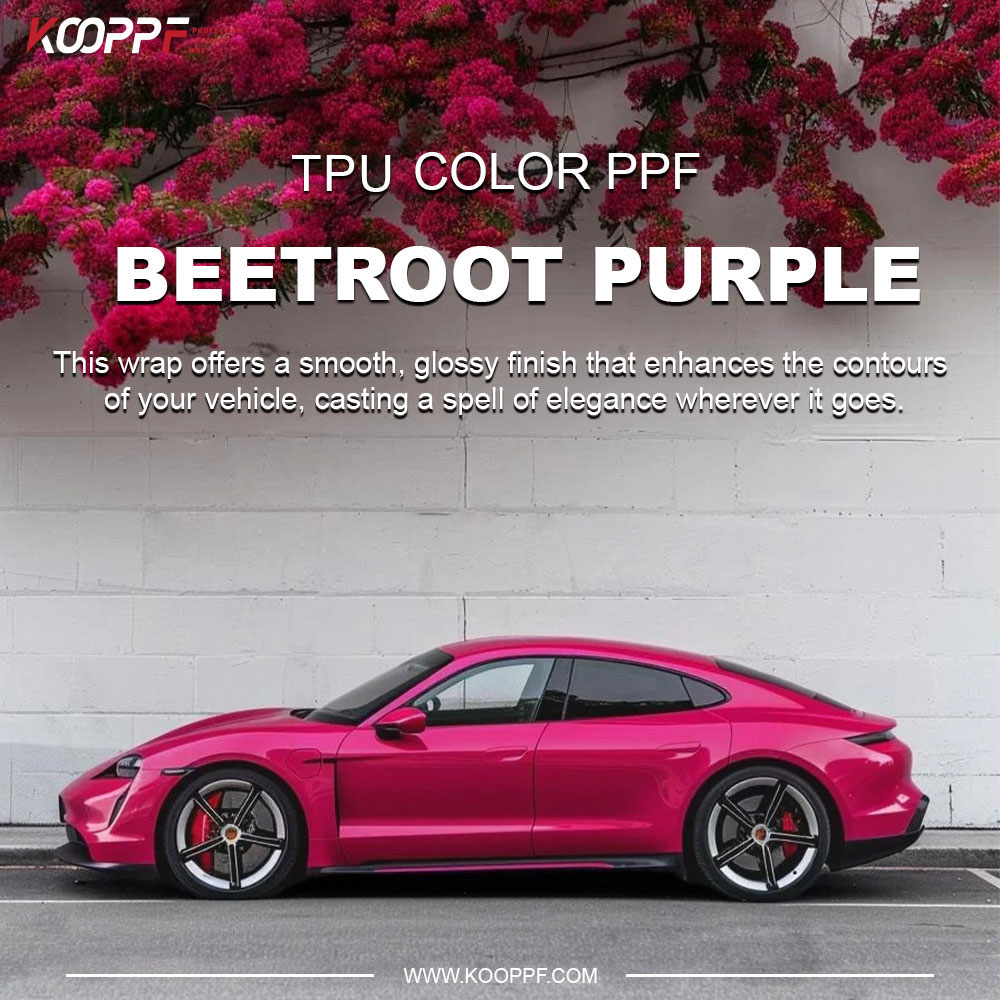 k083-Beetroot-purple5
