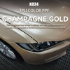 Champagne Gold PPF
